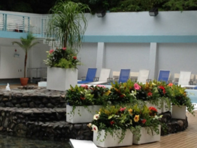 2014屋外プール植栽と受付周り装飾
