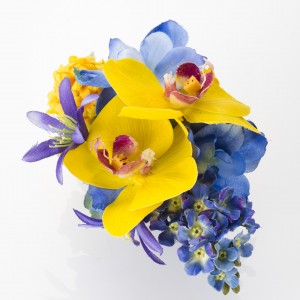 《イエローブルー胡蝶蘭》黄色のミニ胡蝶蘭と青のデルフィニウムで素敵に仕上げてます