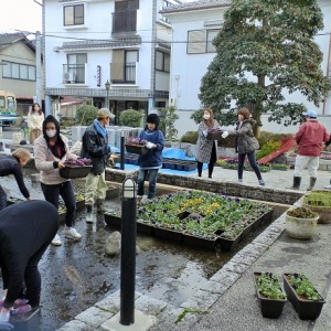 パンジー農家の尾崎さんにも協力して頂きました。