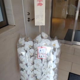 白大輪３本立て受注しました