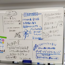 ハローワーク求職訓練講座　３月生・６月販売講座